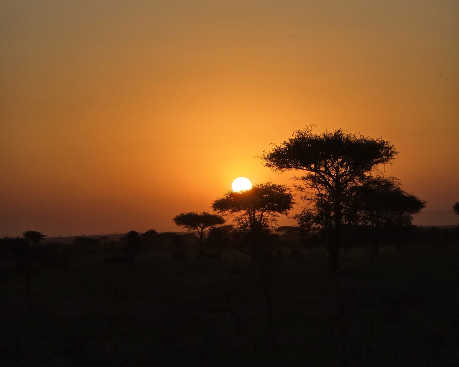 Samburu National Reserve